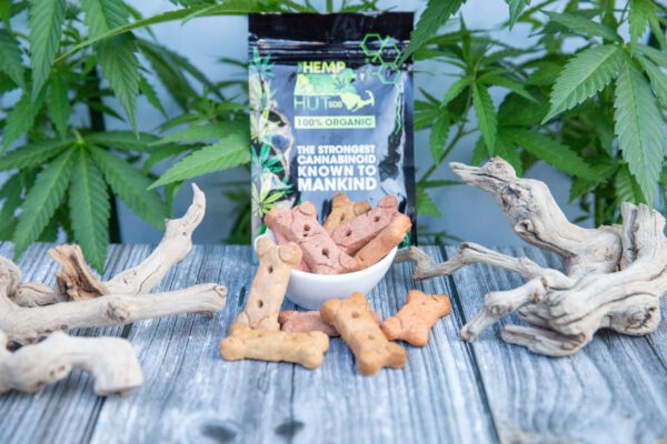 CBD Dog Bones 10MG - 10 pack