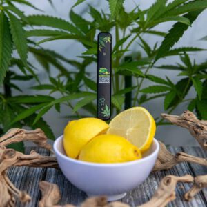 Lemon Jack - Rise N Shine
