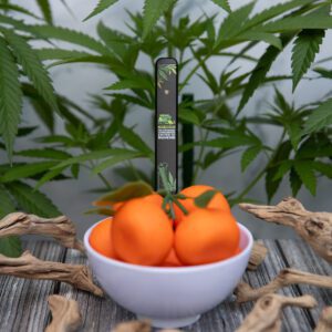 Tangie - Rise N Shine