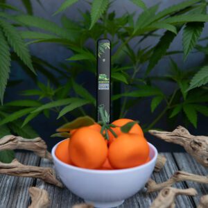 Tangie - Twilight