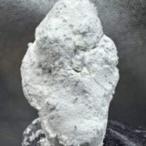 Ice Capz - Peanut Butter Breath- Frosty Moose