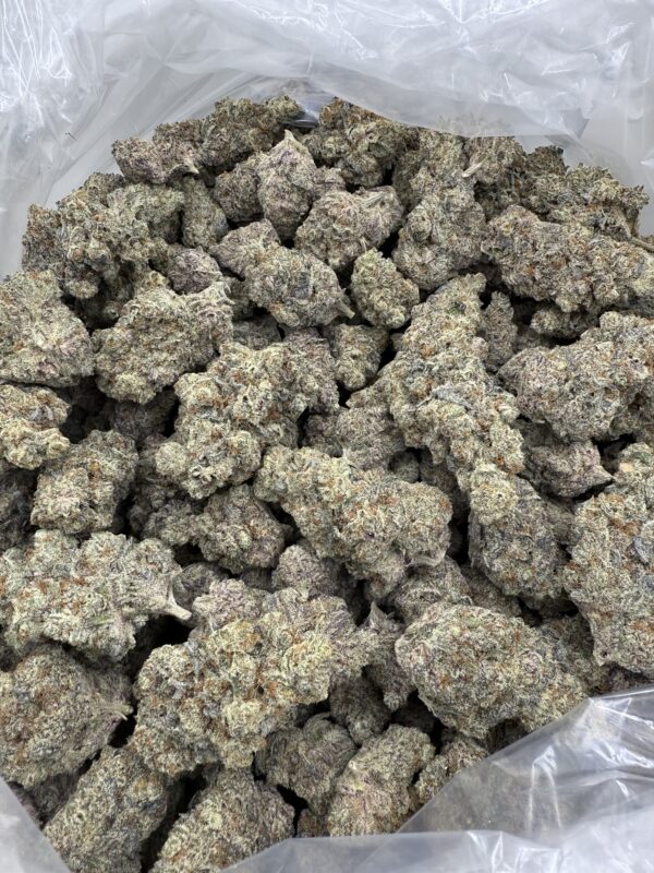 PEACH FOAM -Living Soil Exotics - Sticky Fields Farm - Maine - Image 4