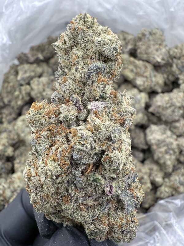 PEACH FOAM -Living Soil Exotics - Sticky Fields Farm - Maine - Image 2