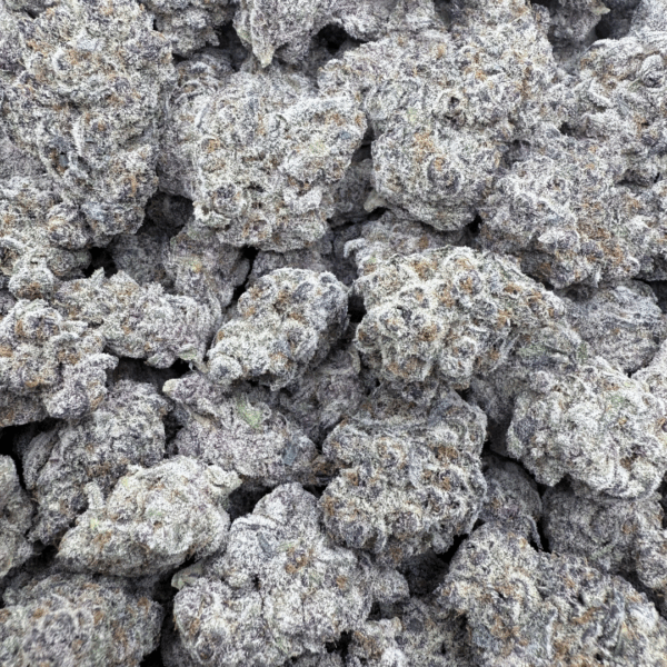 SUB ZERO - Living Soil Exotics - Sticky Fields Farm - Maine - Image 4