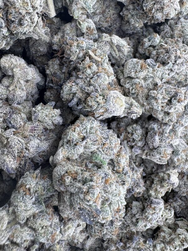 DRAGON BREATHE - Living Soil Exotics - Image 3