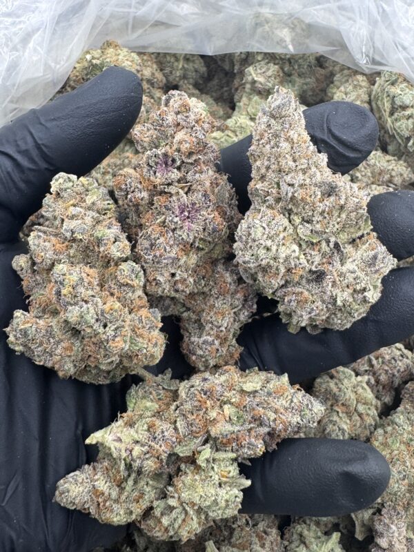 SUPER BOOF- Hand Trimmed- Maine - Image 2