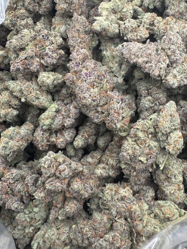 SUPER BOOF- Hand Trimmed- Maine - Image 3