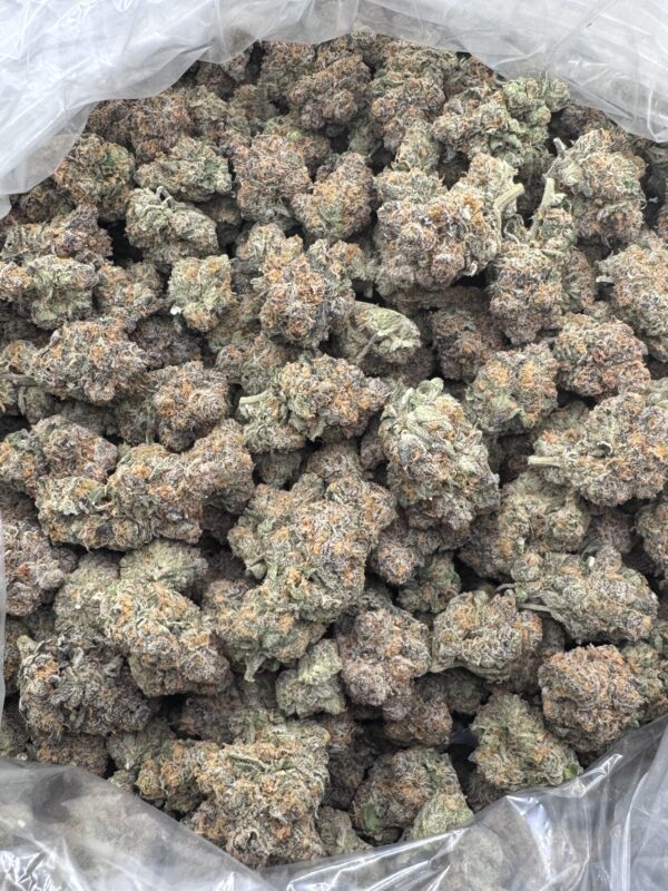 SPECIMEN X -Hand Trimmed - Maine - Image 3