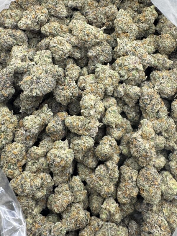 GIRL SCOUT GLUE - Frosty Moose Maine - Image 3