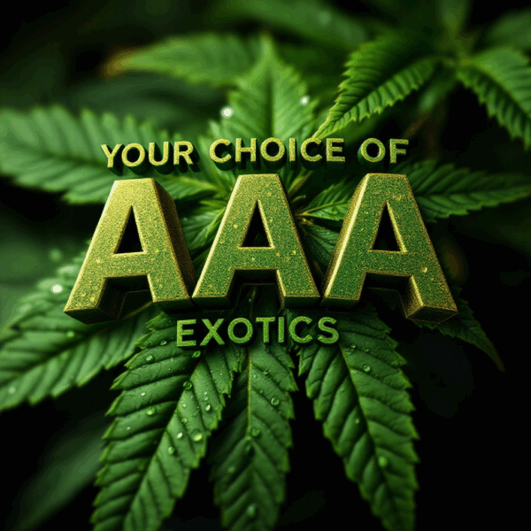 AAA Exotics (1 OZ) - 20 Spot Game