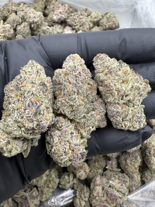 PERMANENT RUNTZ - Living Soil Exotics - Image 3
