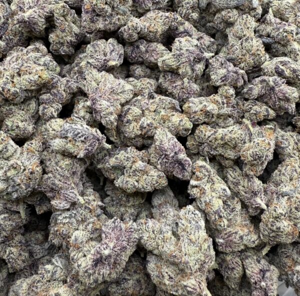 JOKERS JUICE - Living Soil Exotics - Image 4