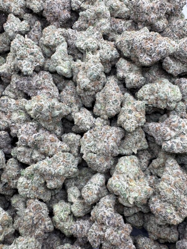 LEMON BERRY - Frosty Moose Maine - Image 3
