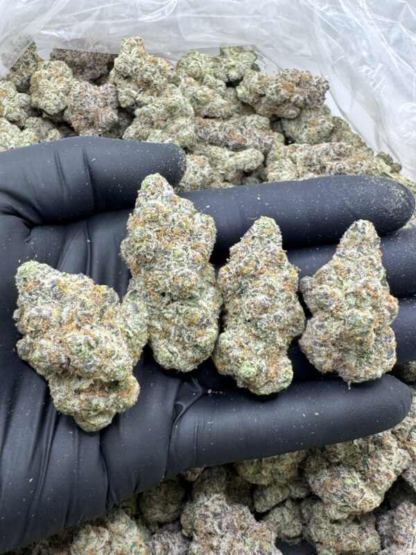 LEMON BERRY - Frosty Moose Maine - Image 2