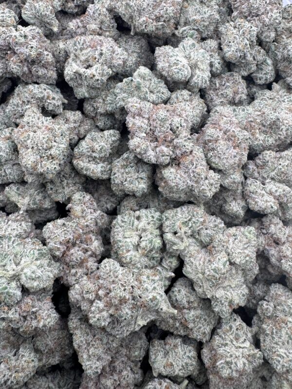 BLOOBERRY - Frosty Moose Maine - Image 3