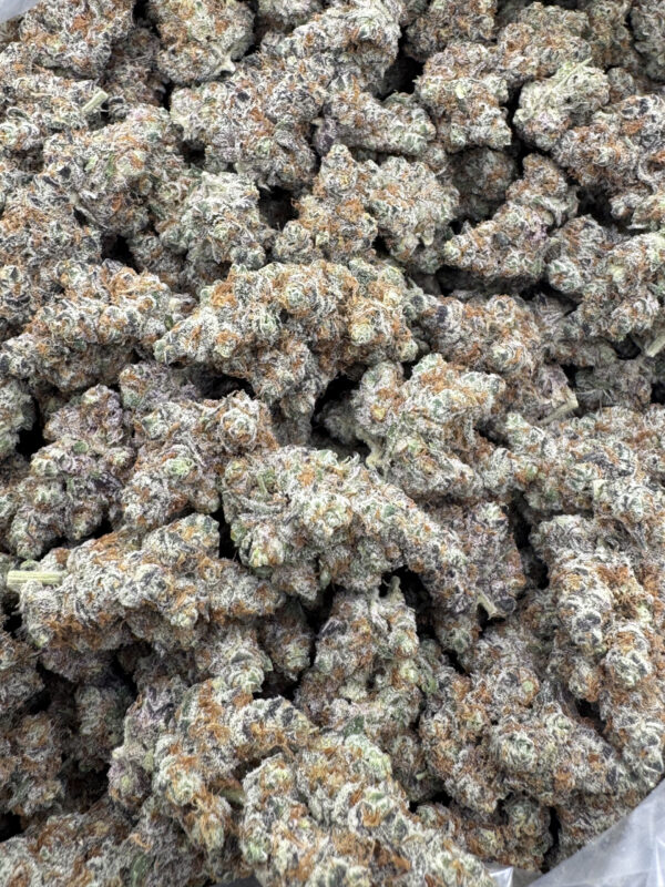 MOTOR BREATH - Frosty Moose - Image 4