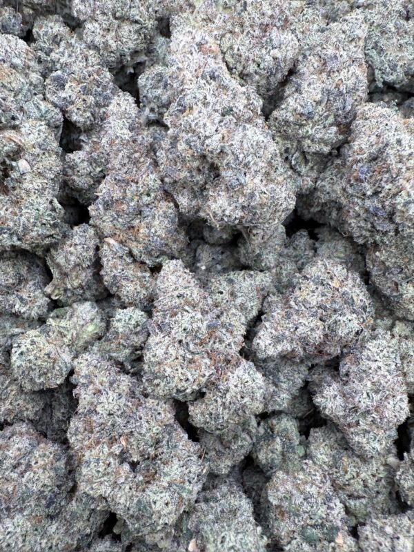 Area 41 - Frosty Moose - Maine - Image 3