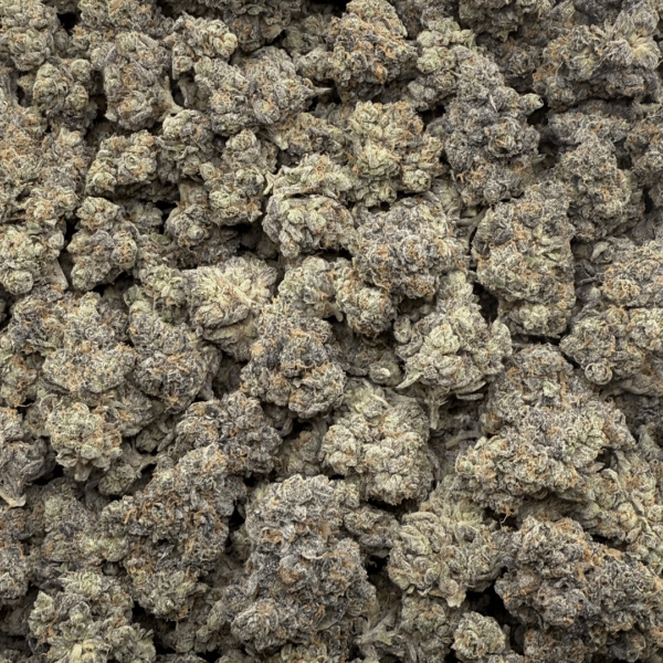 CARBON CAKE - Living Soil Exotics - Sticky Fields Farm - Maine - Image 4