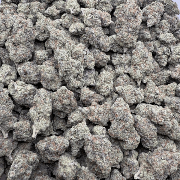 CHEMDAWG RUNTZ - Living Soil Exotics - Sticky Fields Farm - Maine - Image 4