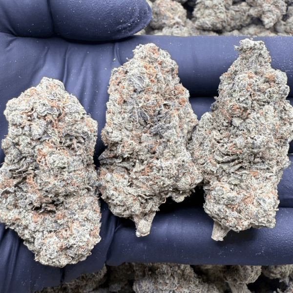 CHEMDAWG RUNTZ - Living Soil Exotics - Sticky Fields Farm - Maine - Image 2
