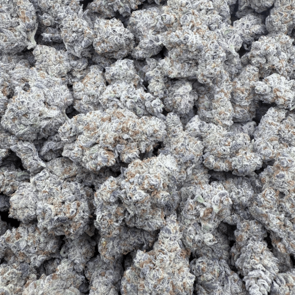 DEVIL DRIVER - Living Soil Exotics - Sticky Fields Farm - Maine - Image 4