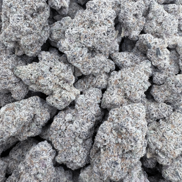 GALACTIC WARHEADS - Living Soil Exotics - Sticky Fields Farm - Maine - Image 4