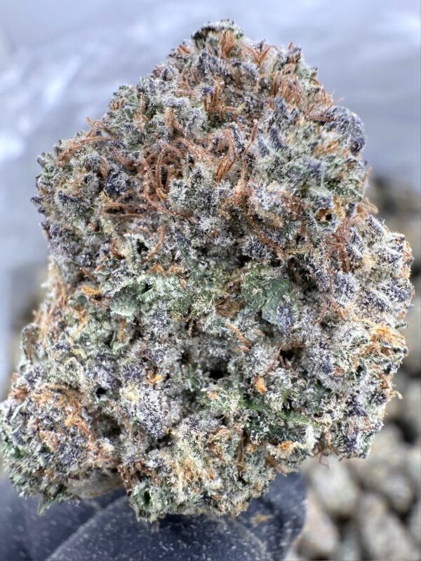 GARLIC COOKIES - Frosty Moose - Maine - Image 4