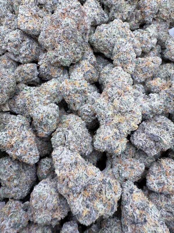 GARLIC COOKIES - Frosty Moose - Maine - Image 2
