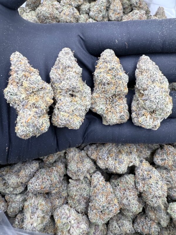 GARLIC COOKIES - Frosty Moose - Maine - Image 3