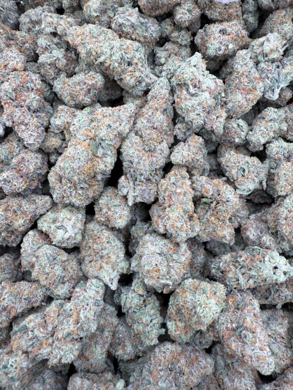 GREEN CRACK - Living Soil Exotics - Illest Haze - Maine - Image 4