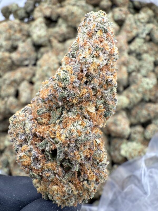 GREEN CRACK - Living Soil Exotics - Illest Haze - Maine - Image 3