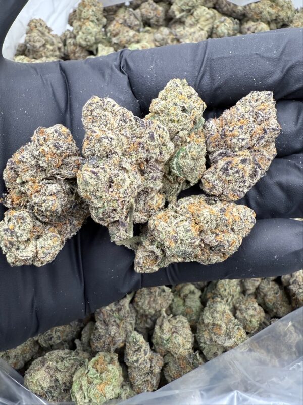 GRUNTZ - Living Soil Exotics - Illest Haze - Maine - Image 4