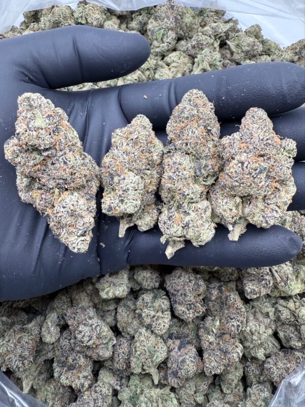 LEMON CHERRY GELATO - Hydro -Loon Lagoon Farm - Maine - Image 3