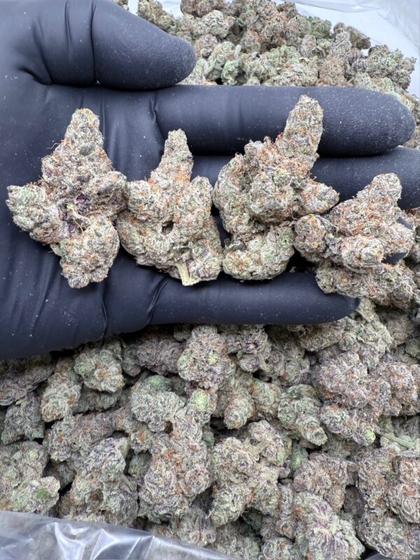 SECRET COOKIES - Hydro - Loon Lagoon Farm - Maine - Image 4
