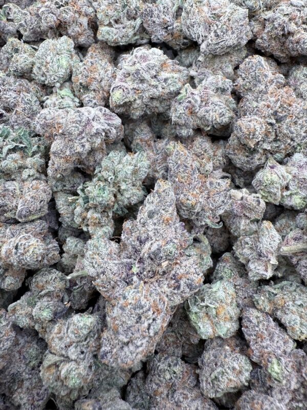 SECRET COOKIES - Hydro - Loon Lagoon Farm - Maine - Image 3