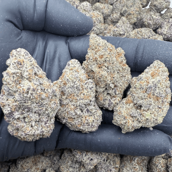KIWI GODDESS - Living Soil Exotics - Sticky Fields Farm - Maine - Image 2