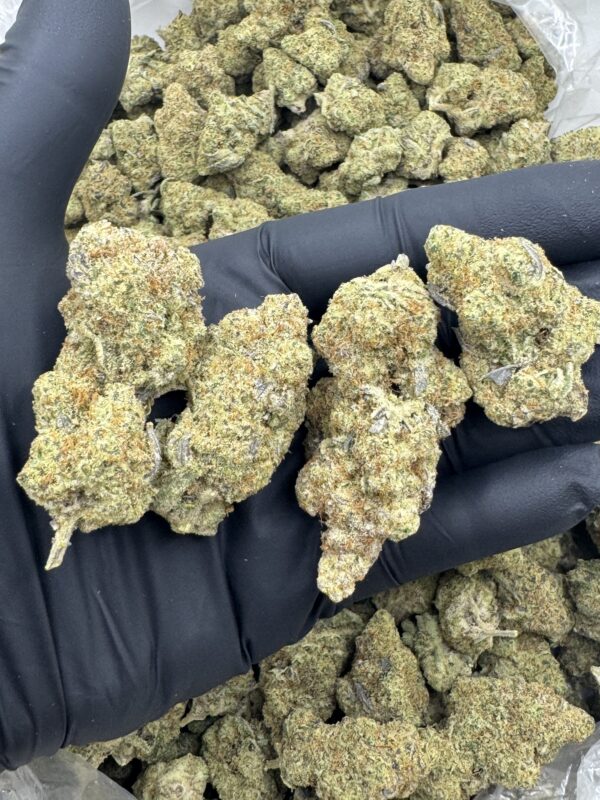 LEMON BISCUITS - Frosty Moose - Maine - Image 2