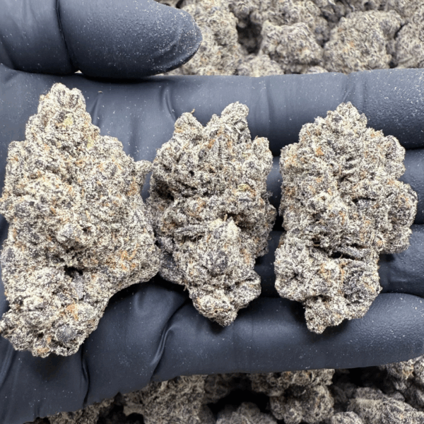 LEMON CHERRY DELIGHT - Living Soil Exotics - Sticky Fields Farm - Maine - Image 2