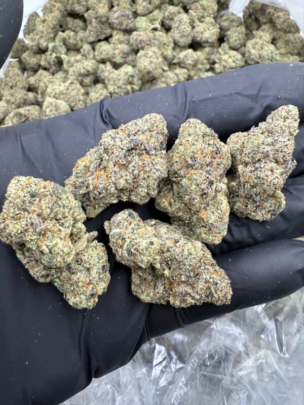 MODIFIED GRAPES - Living Soil Exotics - Illest Haze - Maine - Image 4