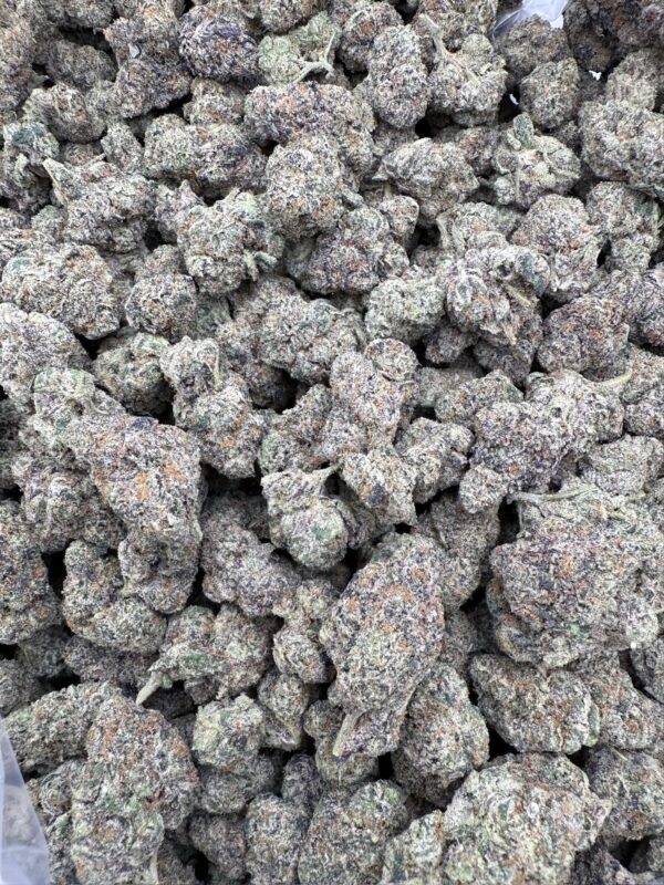 MODIFIED GRAPES - Living Soil Exotics - Illest Haze - Maine - Image 3