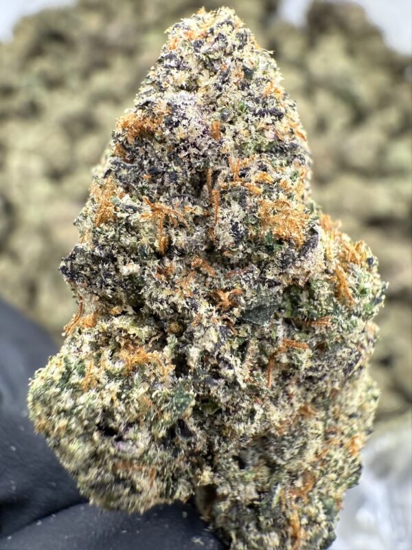MODIFIED GRAPES - Living Soil Exotics - Illest Haze - Maine - Image 2