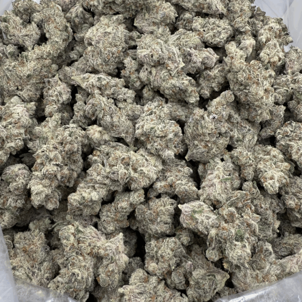 QUEEN OF THE SOUTH - Living Soil Exotics - Sticky Fields Farm - Maine - Image 3