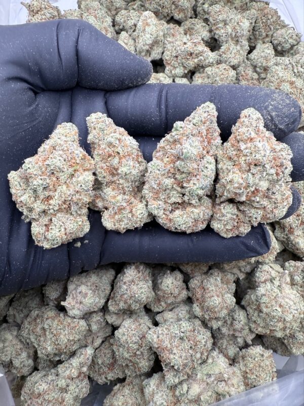 SUPER LEMON MAC - Frosty Moose - Maine - Image 2