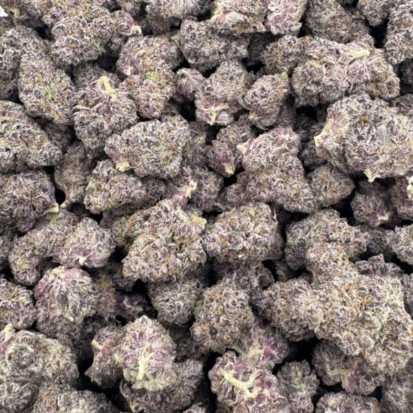 CANDY LOOPS - Frosty Moose - Maine - Image 3