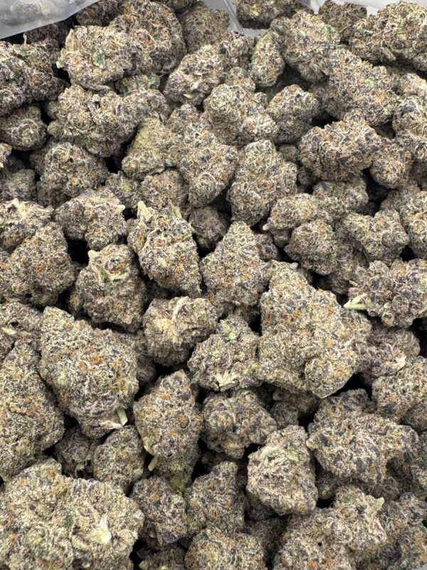 WHITE RUNTZ - Hydro - Humboldt - Image 4